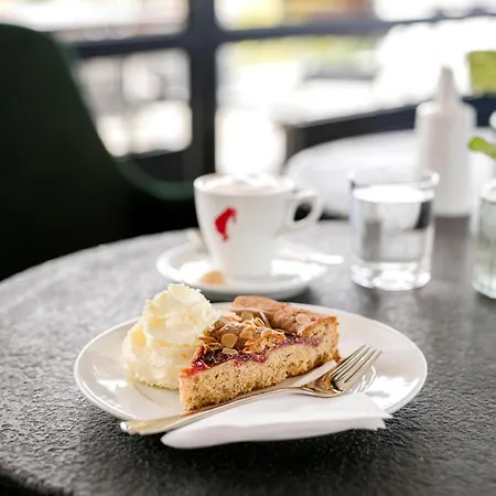Arcotel Nike 酒店 林茨